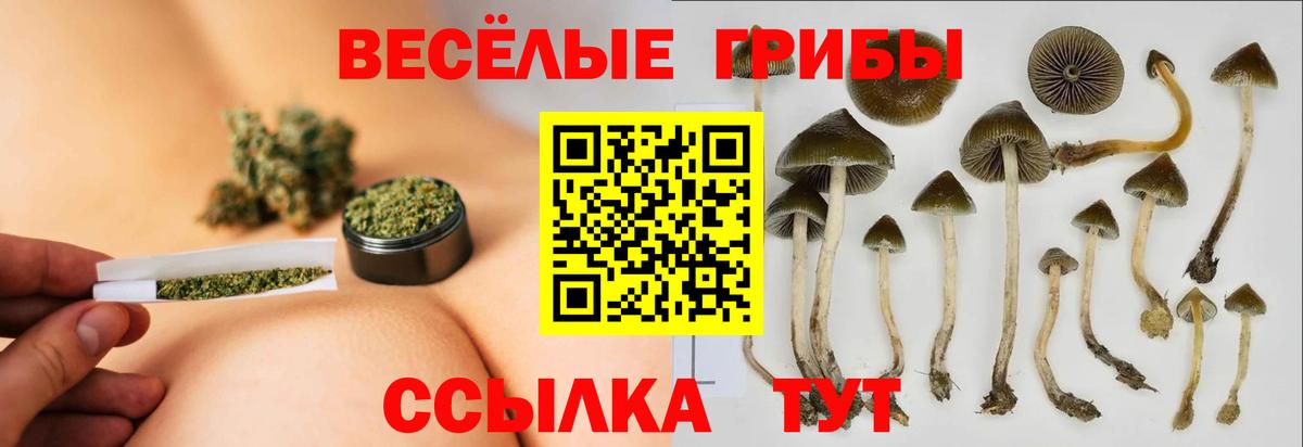 Галлюциногенные грибы GOLDEN TEACHER Янаул